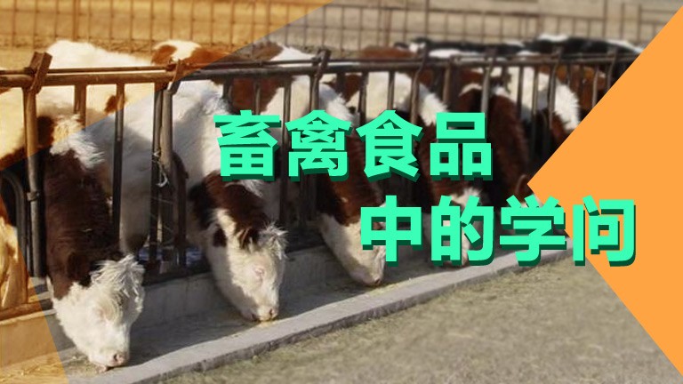 畜禽食品中的學問