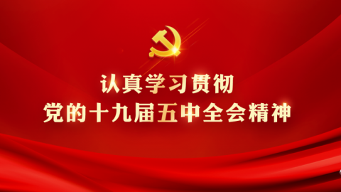 學習貫徹黨的十九屆六中全會精神